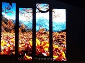 Digital Signage Led-Displays